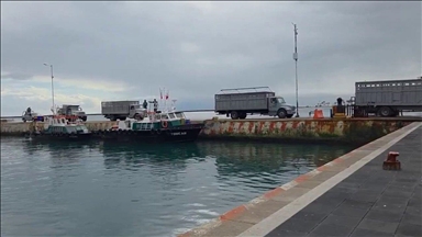 Мексика направила на Кубу более 814 тонн гуманитарной помощи