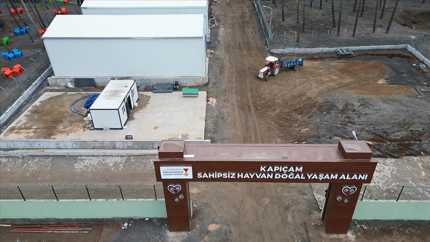 Depremde hasar gören Kapıçam Sokak Hayvanları Rehabilitasyon Merkezi yenilendi