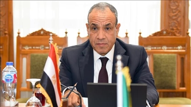 مصر: حوكمة البحر الأحمر مهمة الدول المطلة عليه فقط 