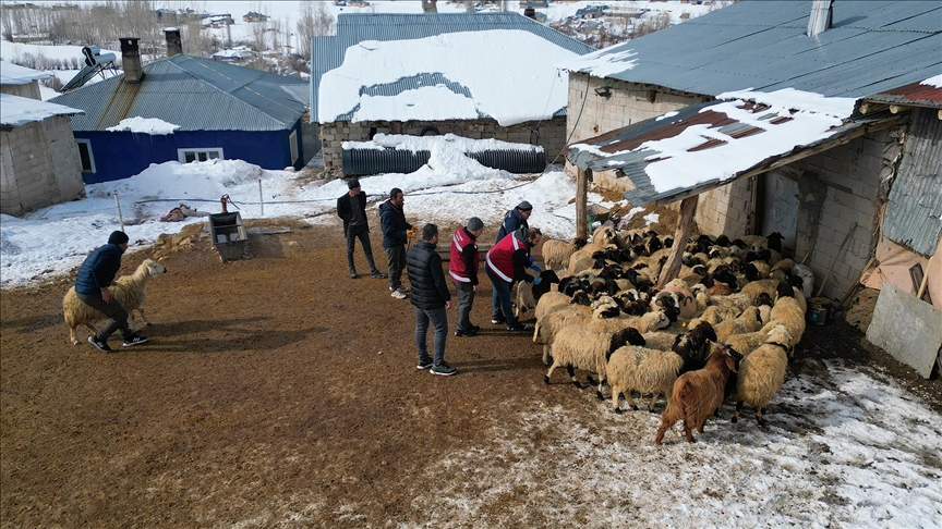 Sürülere kış mevsimine özel mobil sağlık hizmeti