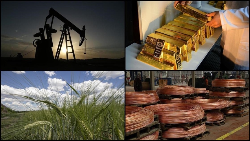 Emtia piyasasında geçen yılki rekorlar ocak ayına da taşındı