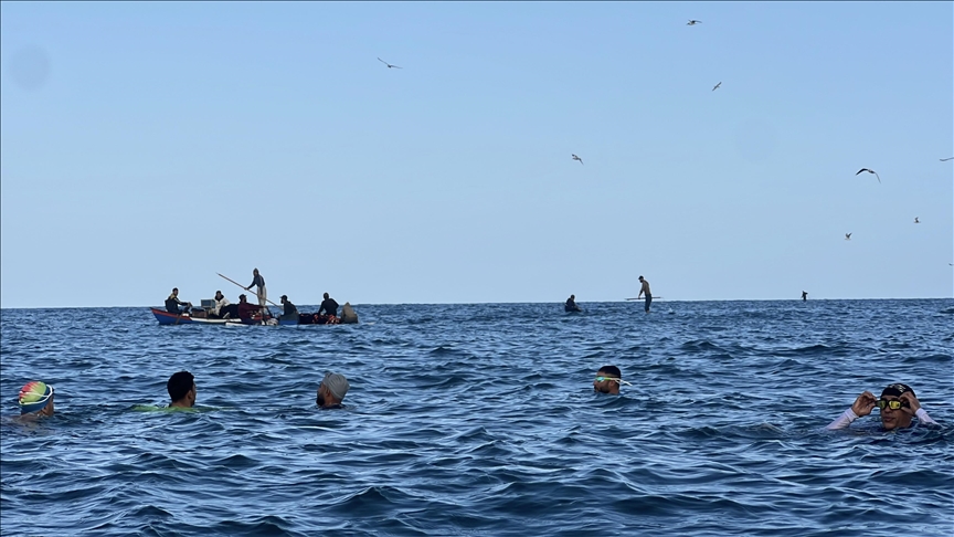 Palestinians in Gaza find relief in ‘winter swimming’