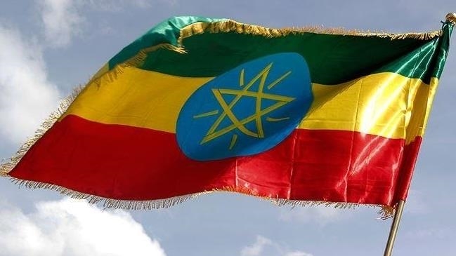 Глава МИД Эфиопии призвал Африку к единству против «корыстных интересов» внешних игроков