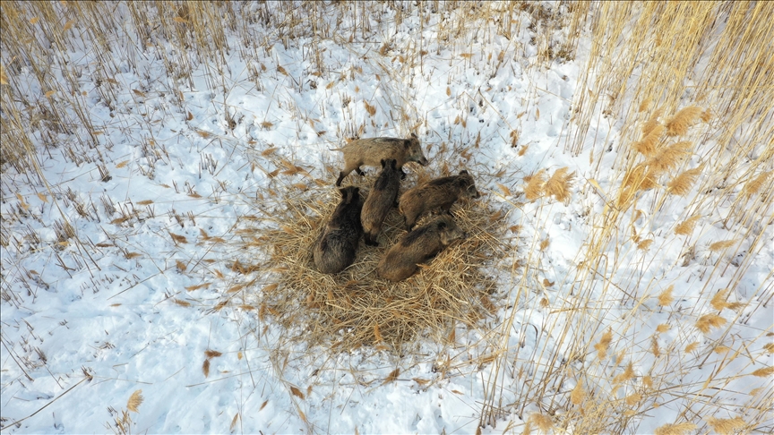 Li Îdirê perana berazan bi dronê hat kişandin