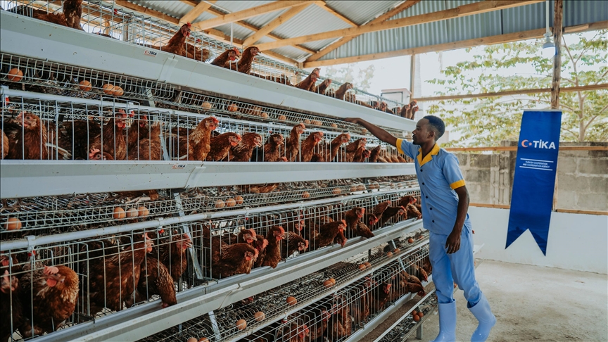 Turkish aid agency launches poultry project for women in Tanzania