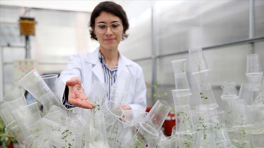 Türk bilim kadını deneyleriyle uzay biyolojisine katkı sunuyor