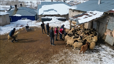 Sürülere kış mevsimine özel mobil sağlık hizmeti