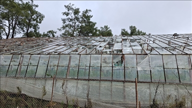 TARSİM, Antalya'daki selden etkilenen üreticilere 586 milyon lira hasar ödemesi yapacak