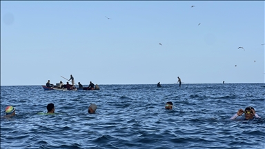 سباحة الشتاء بغزة.. رياضة وتفريغ نفسي بعد عامي الإبادة 