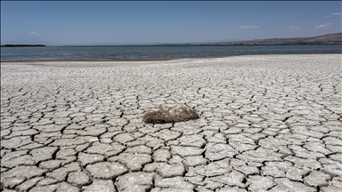 Water security to top agenda at African Union summit