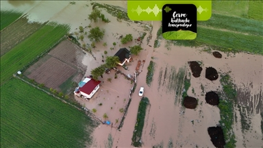 Seller iklim değişikliğinin sonucu mu?