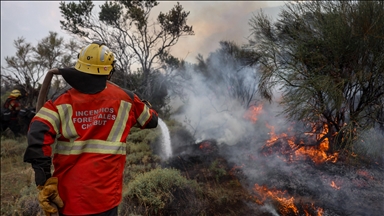 Climate change set stage for wildfires in Argentina, Chile: Research