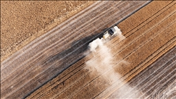 Tarım sezonunun ilk 3 ayında yağışlar uzun yıllar ortalamasına göre yüzde 20 azaldı