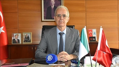 Türkiye, Nigeria aligned on counterterrorism, African issues: Turkish ambassador