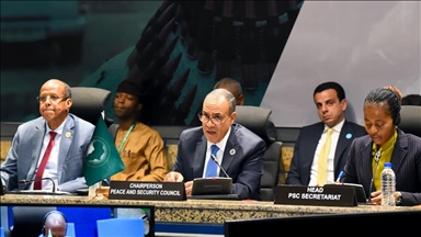 مصر: استقرار السودان ضرورة إقليمية لتجنب انتشار الفوضى والسلاح 