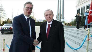 Presidenti Erdogan u takua me homologun serb Vuçiq