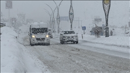 Li Wan, Mûş, Hekarî û Bidlîsê rêyên 307 cî û waran girtî ne