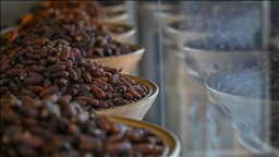 Ramazan ayının gözdesi hurma tezgahlardaki yerini aldı