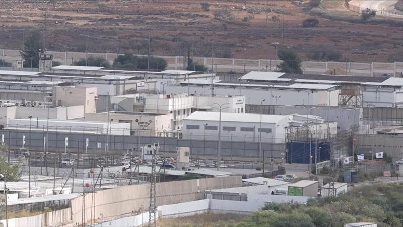 Число палестинок в израильских тюрьмах выросло до 66