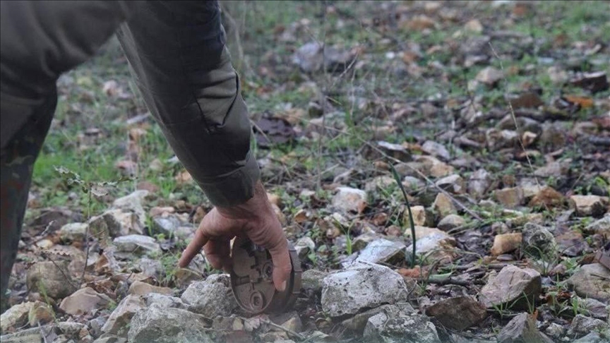 السلطات السورية تواصل إزالة الألغام في ريف اللاذقية