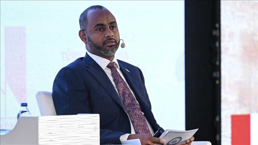 Somali ports minister says direct sea link with Türkiye ‘strategic necessity’ as trade expands