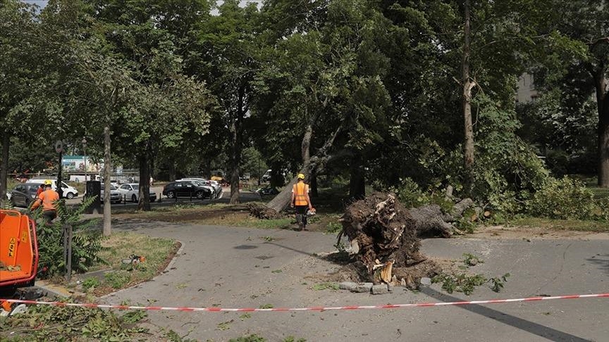 Во Франция шторм «Нильс» оставил без света 450 тыс. домов