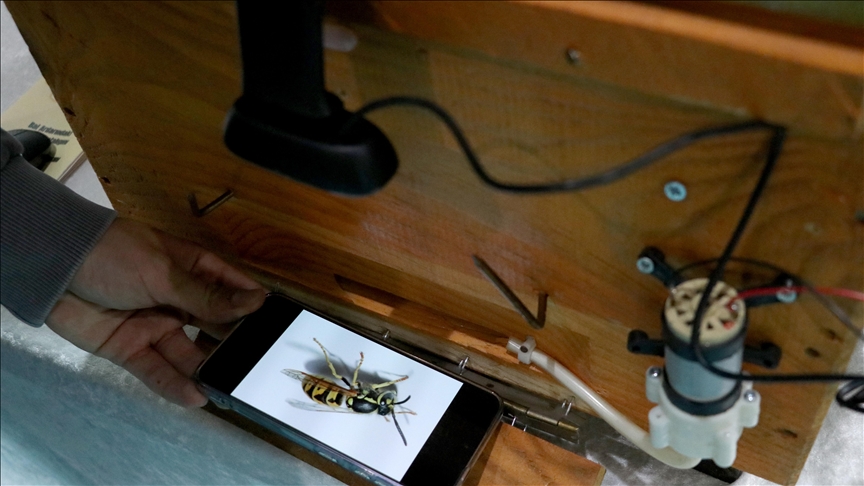 Lise öğrencileri, ballara gelen eşek arılarını engellemek için yapay zeka destekli kovan sistemi geliştirdi