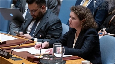 Россия: Израиль продолжает систематический курс на подрыв единства сирийского государства 