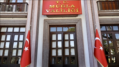Muğla Valiliği, Milas’ta zeytin ağaçlarının kesildiği iddiası üzerine inceleme başlattı