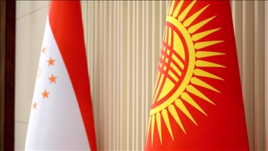 Кыргызстан и Таджикистан нацелены довести товарооборот до 500 млн долларов