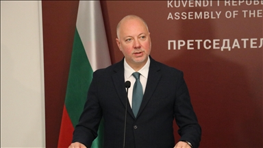Bulgaria’s former premier says partnership with Türkiye 'extremely important' for establishing peace