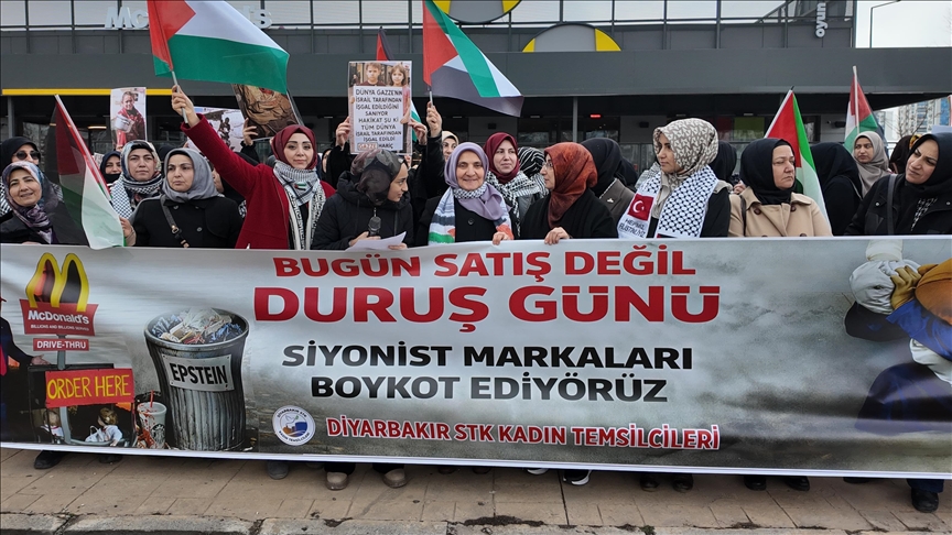 Li Diyarbekirê jinan êrîşên Îsraîlê protesto kirin
