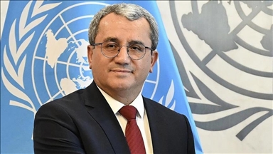 Постпред Турции при ООН призвал уважать принцип «одна армия, одно государство и одна Сирия»