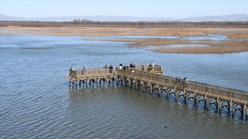 Efteni Gölü Kuş Cenneti hafta sonu doğaseverleri ağırladı