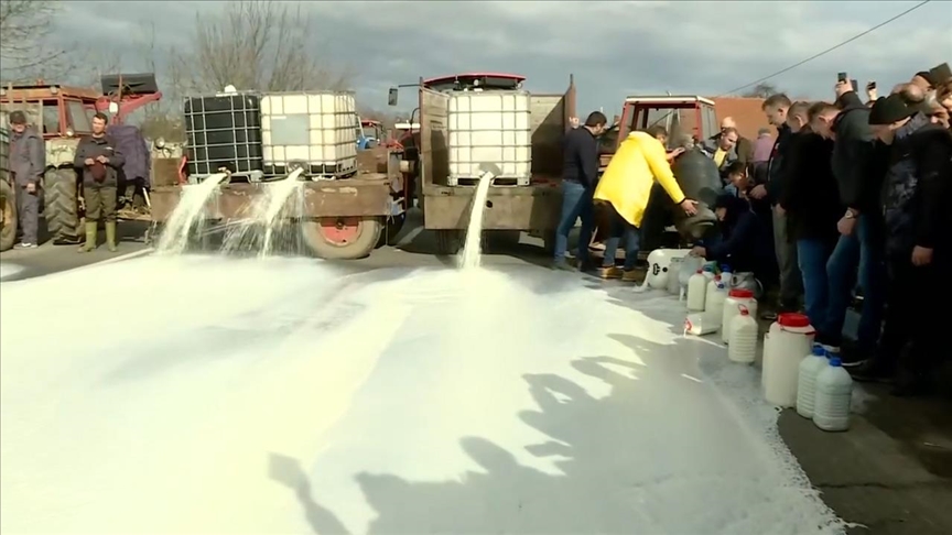 Proizvođači mlijeka u Srbiji upozoravaju: Državne mjere devalvirale, ugrožen opstanak farmi