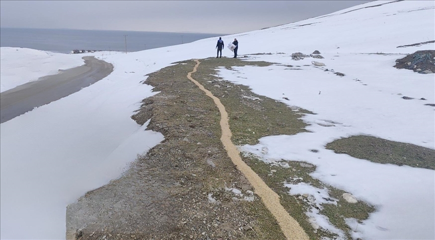 Li Wanê ji bo çûkên beyanî 1,5 ton genim danîn çolterê