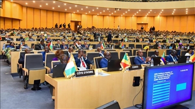 فلسطين ترحب بمخرجات القمة الإفريقية الداعمة لعضويتها بالأمم المتحدة