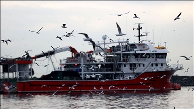 Hamsinin izini süren Karadenizli balıkçılar rotalarını İğneada'ya çevirdi