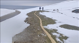 Li Wanê ji bo çûkên beyanî 1,5 ton genim danîn çolterê