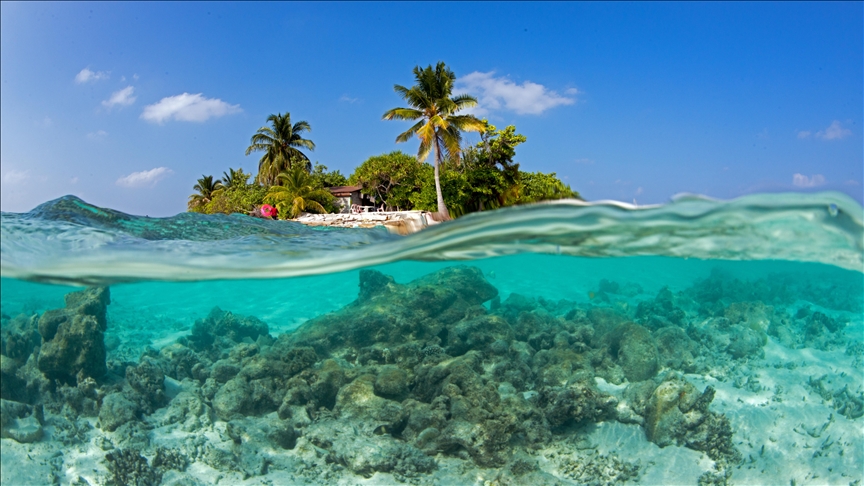 Ocean impacts double social cost of carbon