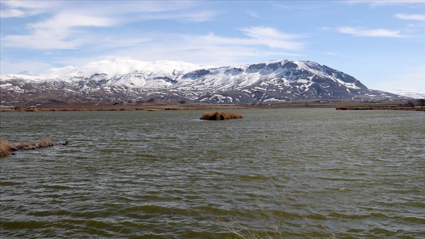 Eriyen kar suları kuruma tehlikesiyle karşı karşıya olan Ulaş Gölü'ne "can suyu" oldu 