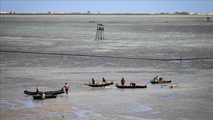 Cyclone Gezani death toll in Madagascar rises to 59, 15 reported missing