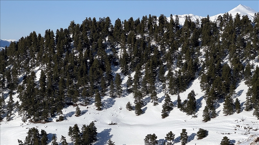 France / Haute-Savoie : vigilance orange avalanches, la préfecture déconseille le ski hors-piste