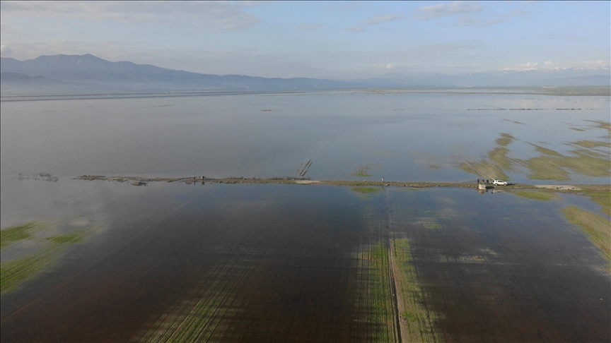 Kahramanmaraş'ta etkili olan yağışların ardından binlerce dönüm tarım arazisi su altında kaldı
