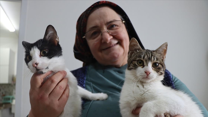 Doktor önerisiyle başlayan kedi sevgisi 40 kedilik yuvaya dönüştü