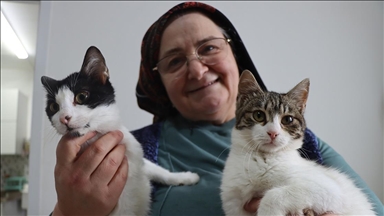 Doktor önerisiyle başlayan kedi sevgisi 40 kedilik yuvaya dönüştü