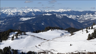 Erzurum, Ardahan ve Tunceli'nin yüksek kesimleri karla kaplandı