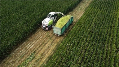 Tarım ÜFE ocakta aylık bazda yüzde 8,46 arttı