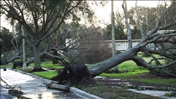 Wild storm hits New Zealand, disrupts flights, leaves thousands without power