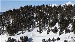 France / Haute-Savoie : vigilance orange avalanches, la préfecture déconseille le ski hors-piste